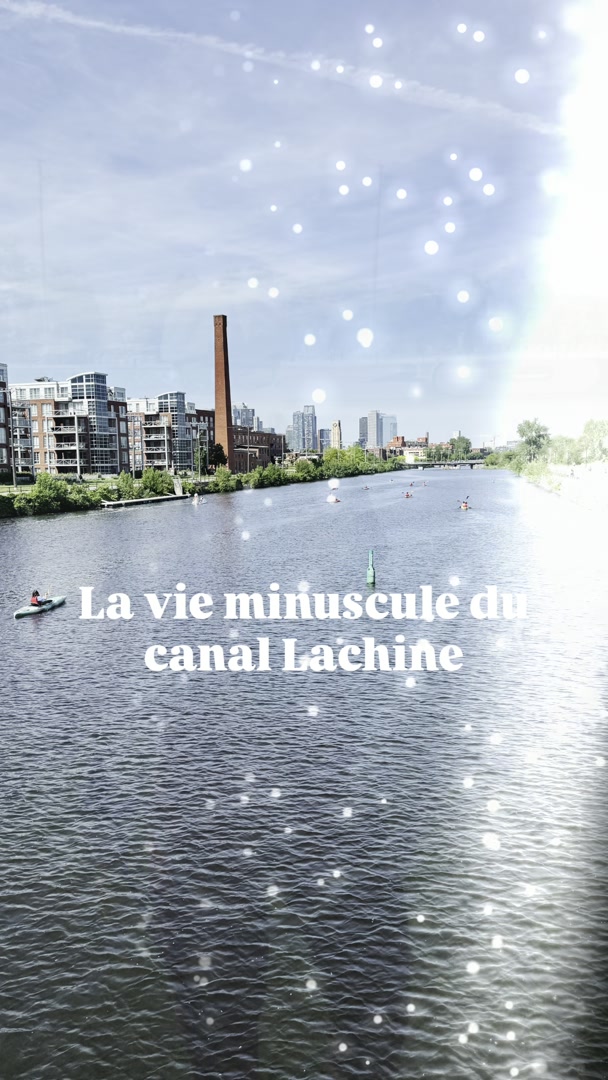 2. Plancton Lachine