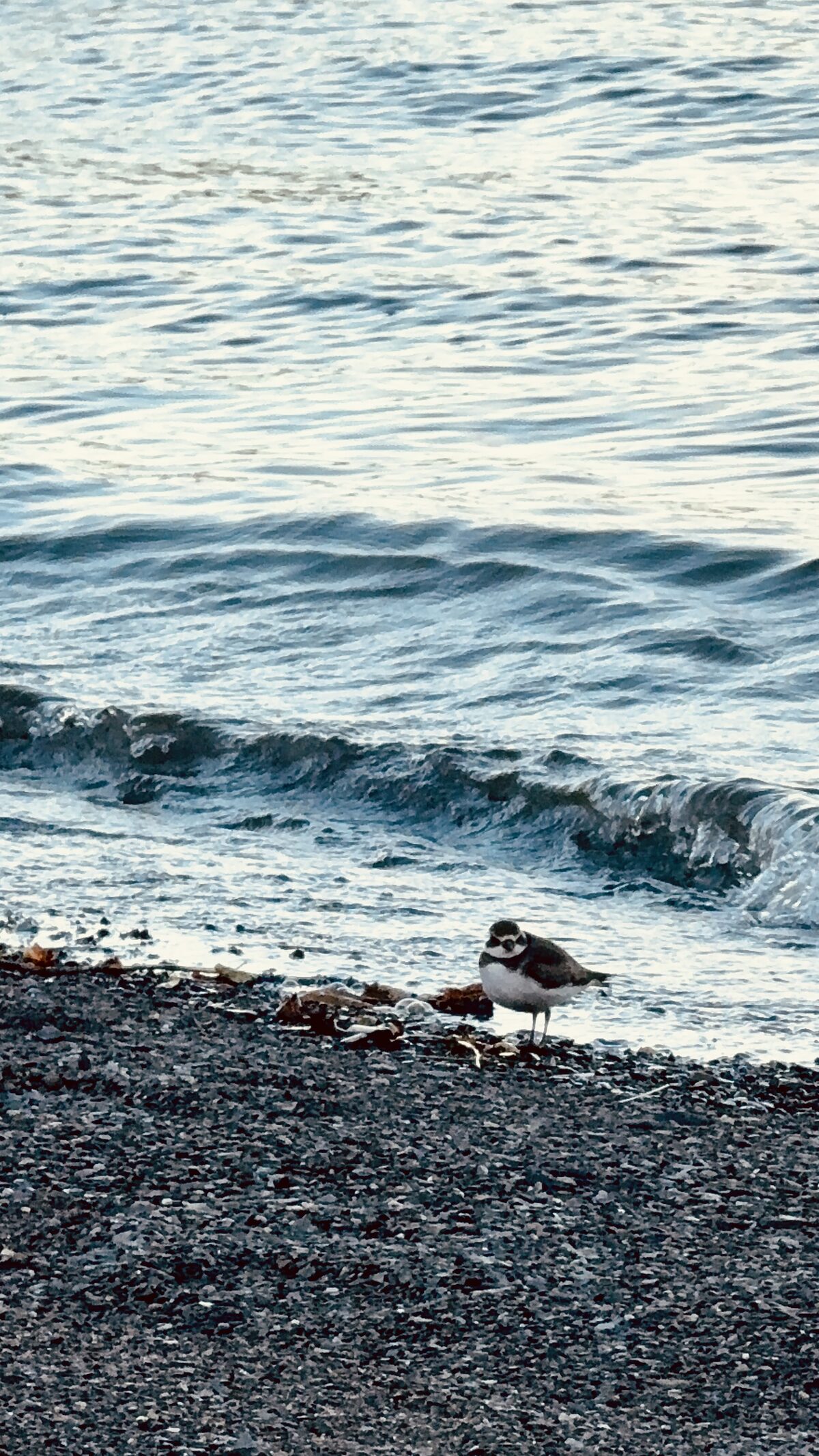 L’Île-d’Orléans, photo 5
